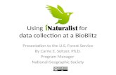 How and why to use iNaturalist for a BioBlitz