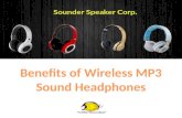 Company Profile of Sounder Speaker Corp