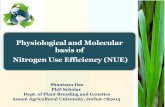 Physiological and Molecular basis of NUE