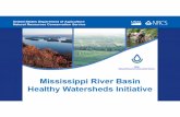 Mississippi river basin initiative