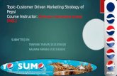 Customer Driven Marketing Strategy -PEPSI