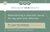 Determining a vascular cause for leg pain and referrals