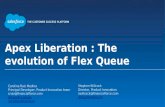 Apex Liberation - the evolution of Flex Queue (DF15)