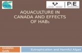 Aquaculture in canada and effects of ha bs