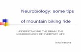 Neurobiology: some mountain bike tips