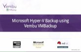 Microsoft Hyper-V Backup using Vembu VMBackup