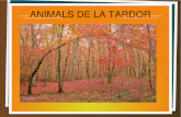 ANIMALS DE LA TARDOR