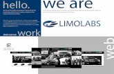 Limo labs Digital Marketing Agency Portfolio SEO New Jersey