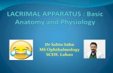 LACRIMAL APPARATUS: Basic Anatomy and Physiology