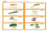 I4M flashcards: vegetables (in swedish)
