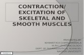 Contraction of skeletal and smooth muscles