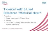 Inclusion health and lived experience, pop up uni, 3pm, 2 september 2015