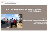Disaster Management Law in Vietnam