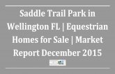 Saddle Trail Park in Wellington FL | Equestrian Homes for Sale | Market Report December 2015