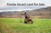 Florida Vacant Land For Sale