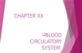 Chapter 20 Blood Circulatory System
