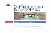 Identiy Authentication White Paper