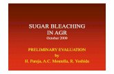 Sugar bleaching with ozone   preliminary tests