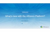 Alfresco Day Stockholm 2015 - Platform Update