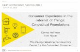 Consumer Experience in the Internet of Things: Conceptual Foundations