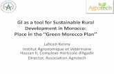 Role of geographical indications (GIs) in the sustainable development in Morocco: their place in the Plan Maroc Vert (“Green Morocco”), Lahcen Kenny, Institut Agronomique et Vétérinaire