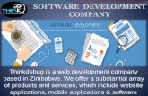 Thinkdebug is Best Web Development Company in Zimbabwe.