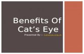 Benefits of cat's eye gemstone