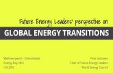 Future Energy Leaders' Perspectives on Global Energy Transitions