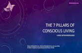 The Seven Pillars of Conscious Living - Shirly Gilad