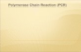 Introduction to Polymerase Chain Reaction (PCR)