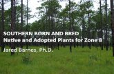 Southern Born and Bred: Native & Adopted Plants for Zone 8