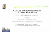 A survey of cryptologic issues in computer virology
