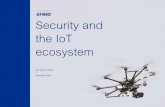 Security and the IoT Ecosystem