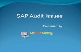 SAP Audit Issues - SAP FI/CO Training