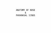 Nose and pns 25.04.16 dr.sithandandhakumar