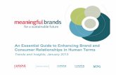 Meaningful brands category insights sb content dec 30 1