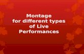 Four montages of different live performances