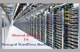 Shared vs managed word press hosting
