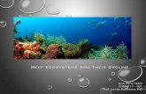 Reef ecosystems and their decline