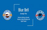 Blue Bell Strategic Plan