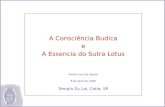 A Consciencia Budica e a Essencia do Lotus - versão 2007