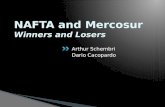 NAFTA and Mercosur