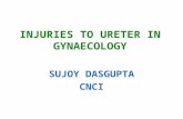 Ureteric Injury at Gynaecological Surgery