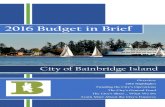 2016 COBI Budget in Brief (FINAL)