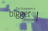 EUROIA 2016 The Ecosystem Is Bigger Than You