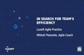 In Search for Team’s Efficiency by Mikhail Podurets