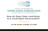 How do Open Data contribute to a Local Open Government