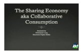 Sharing Economy in the Local Community