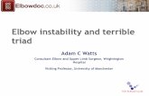 Elbow instability and terrible triad