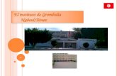 Mi instituto de Grombalia ( Nabeul, Túnez)